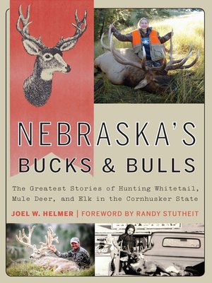 cover image of Nebraska's Bucks and Bulls